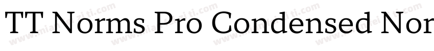 TT Norms Pro Condensed Normal字体转换